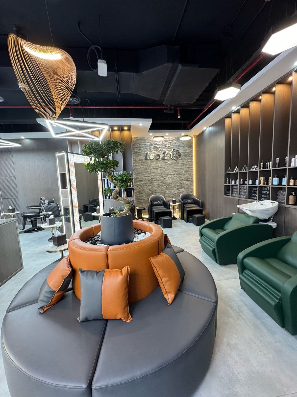 Imgi 14 Leoz Image Gallery 9